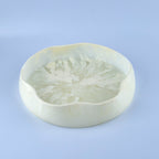 Small flat bowl 28cm